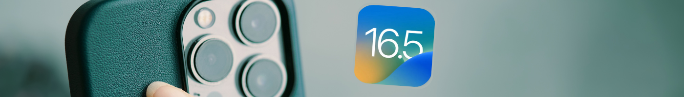 IOS 16.5